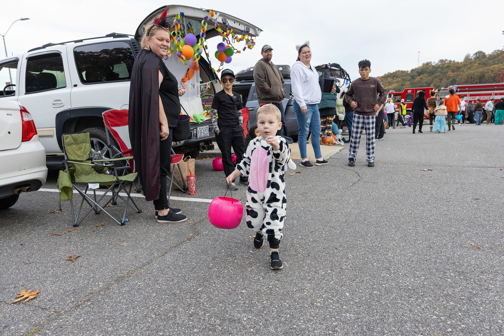 A child in a cow costume walks toward the camera.