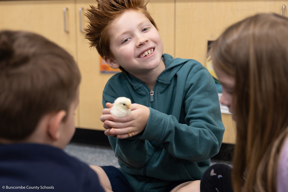 Little boy in green hoodie holding a light yellow chick.