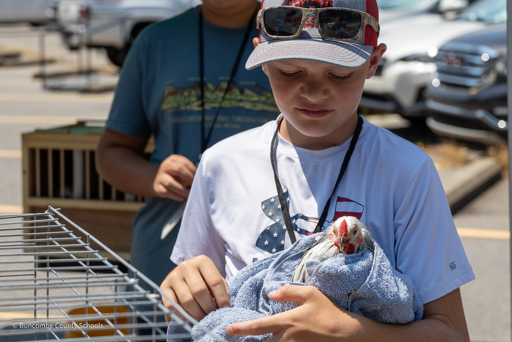 Middle school student holds a live chicken that is wrapped in a towel. It has just been bathed.