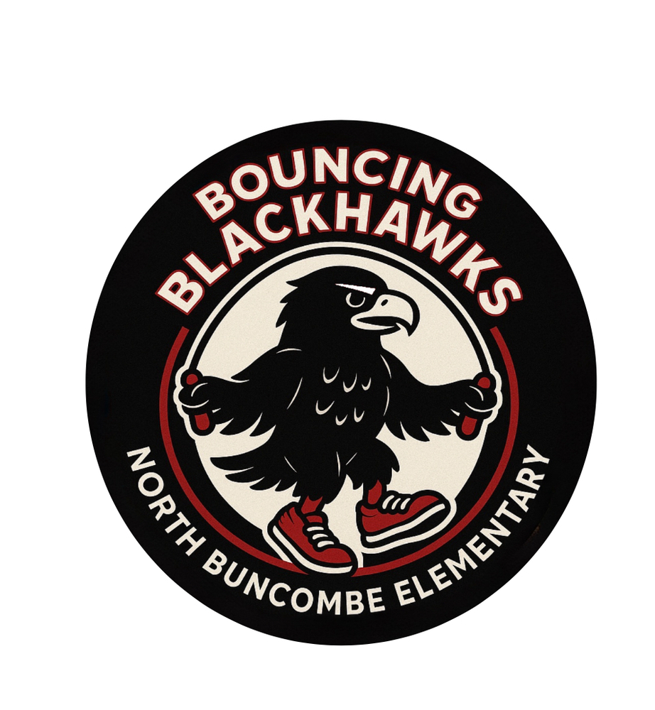 Bouncing Blackhawks logo