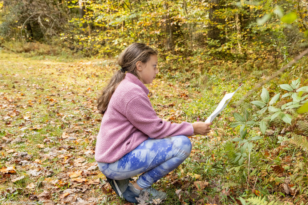 A student looks a leaves in the forest.