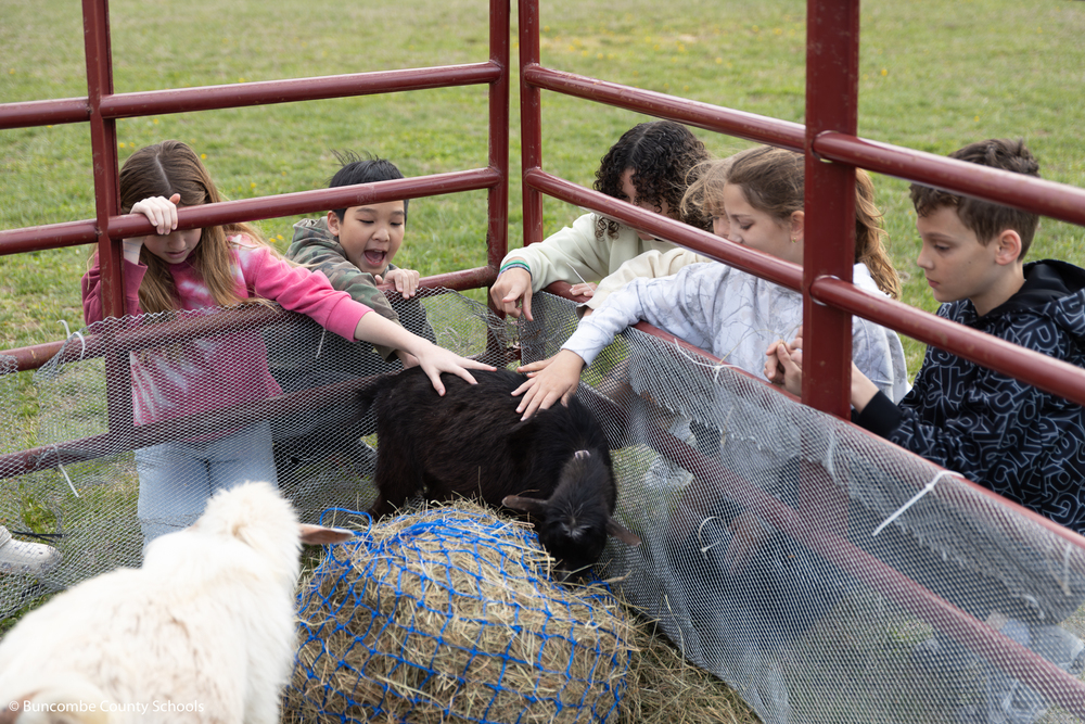 Fifth grade students sticking their hand through the fence to pet a black goat.