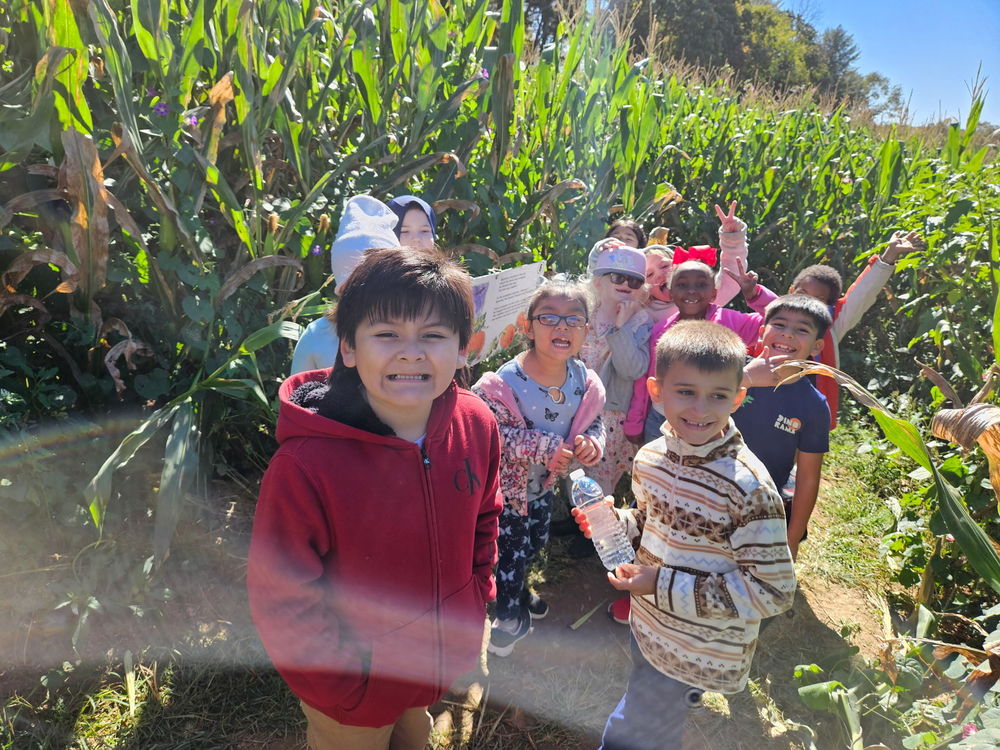 First graders in the corn maze