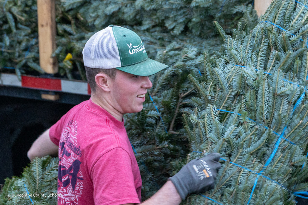 A student unloads a tree from a platform truck