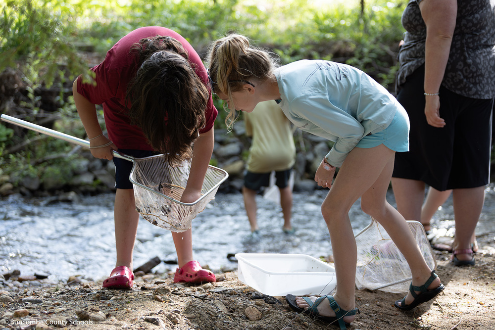 Two students looking in a net at critters they caught in the lake. 