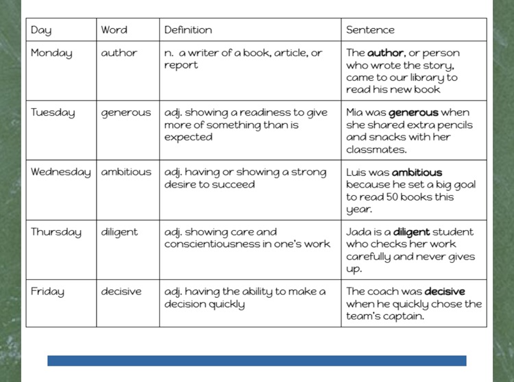 vocabulary 