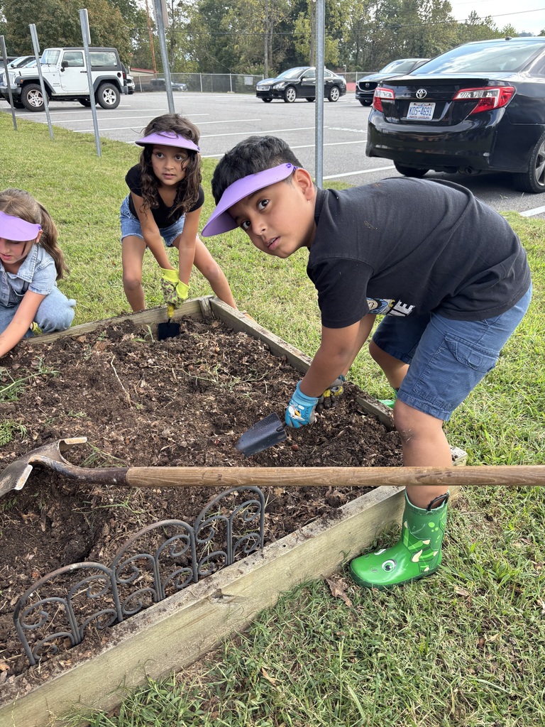Students working in garden bed