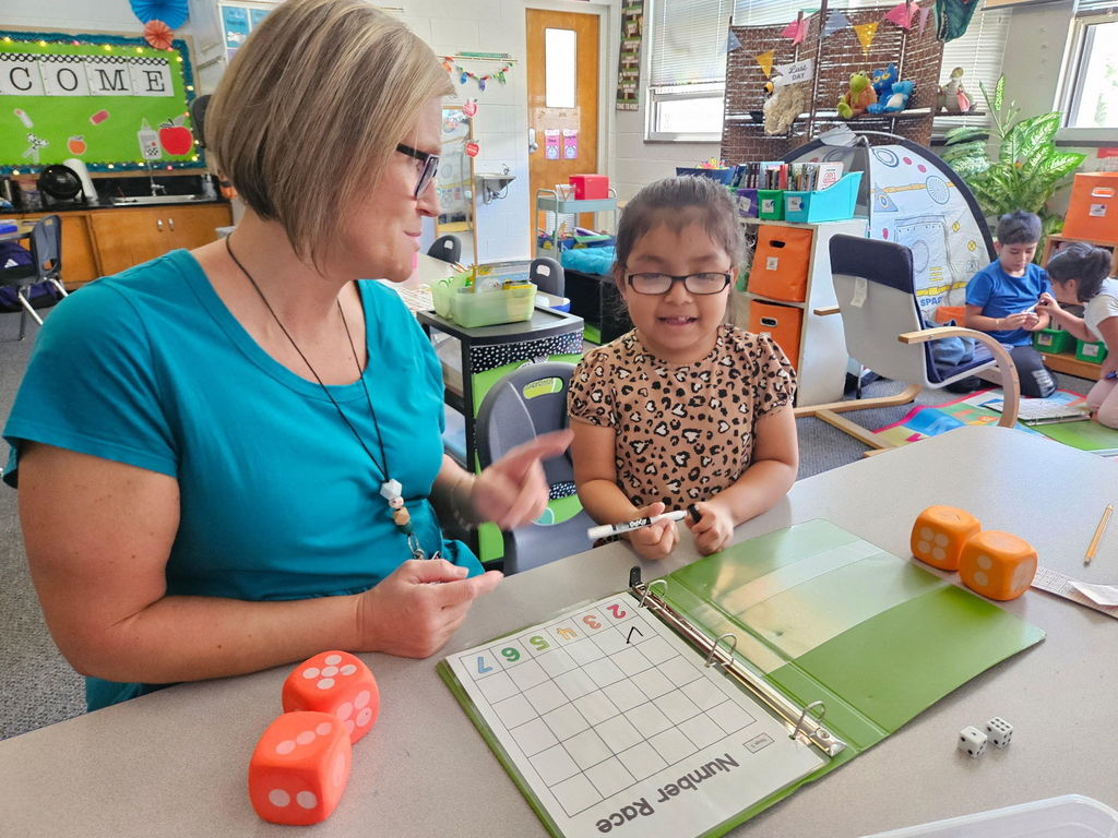 Student and teacher working together
