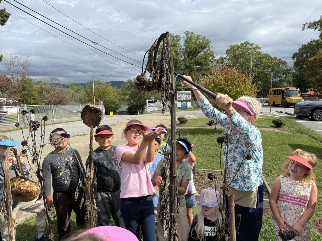 Students and volunteer harvest seeds