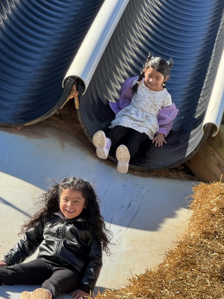 Students on slide