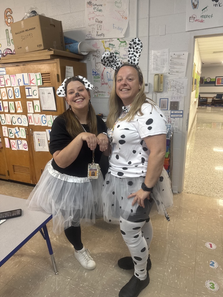Dalmatian Teachers