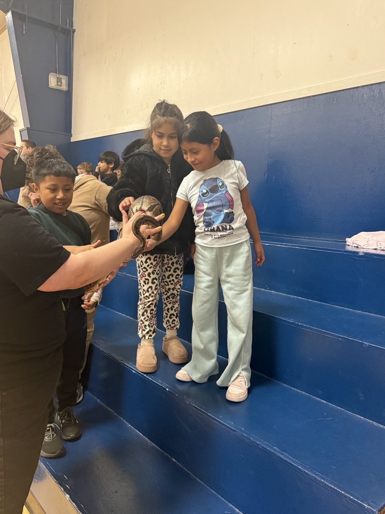 Adult holding snake out to two students.