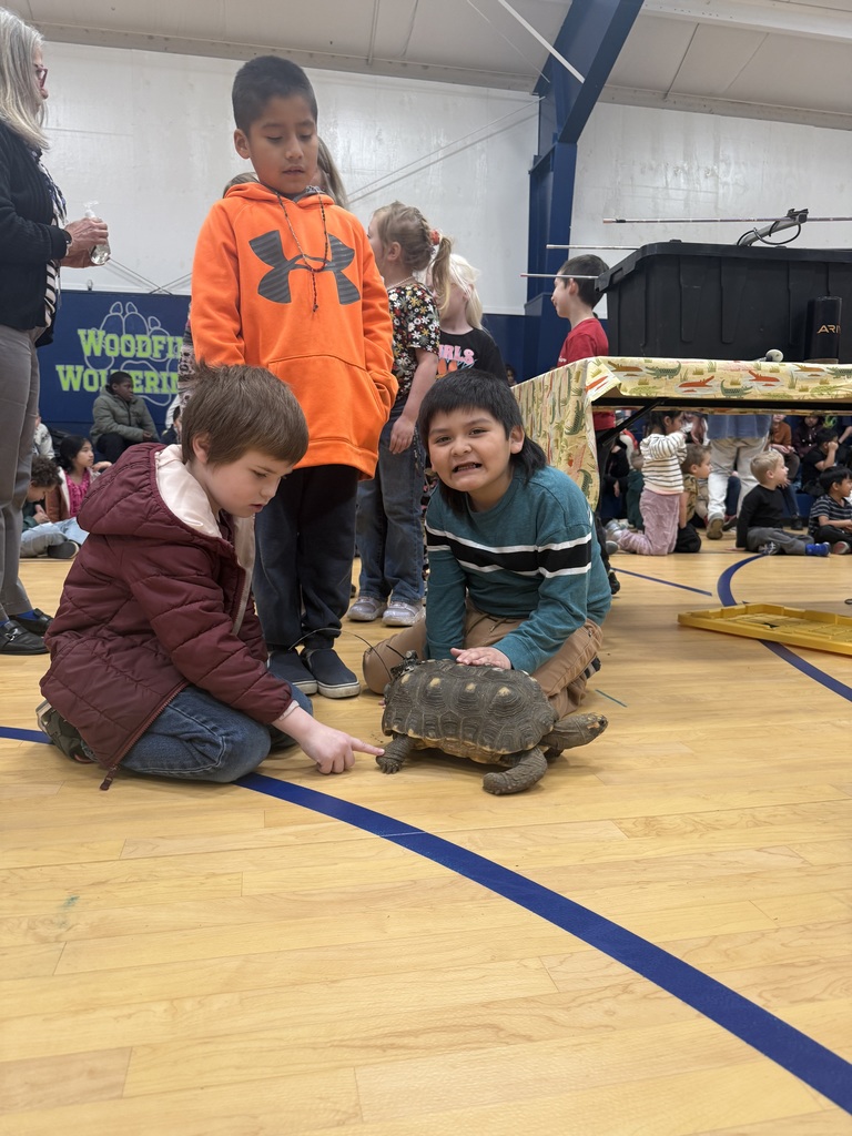 Three students looking at tortoise. 