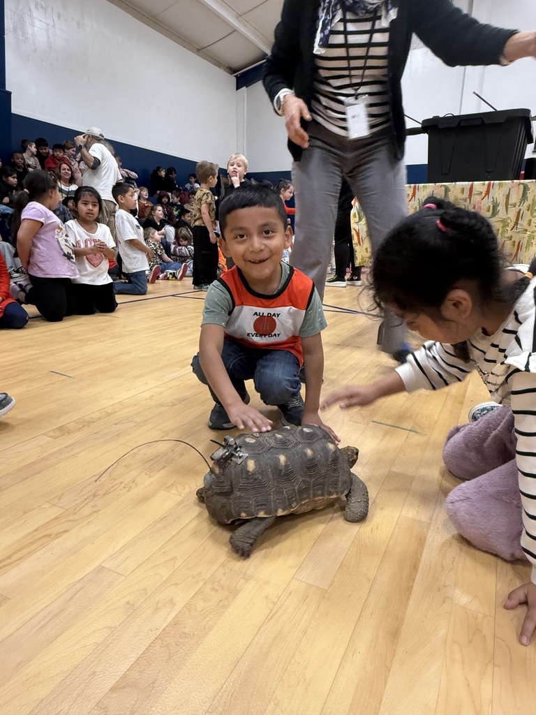 Two students smiling and touching tortoise. 