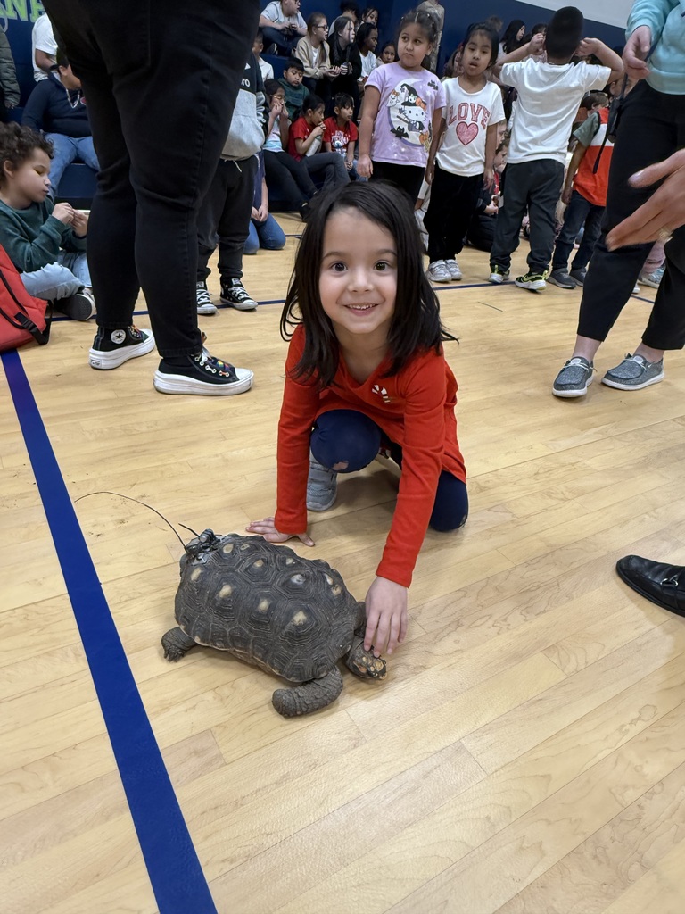 Student smiling and petting tortoise. 
