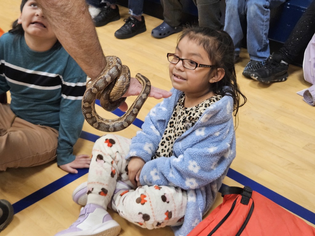 Man holding snake out for student to see. 