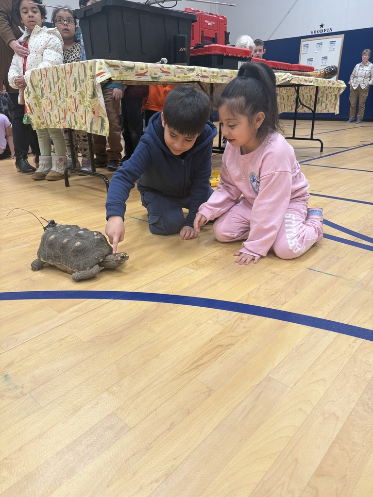 Two students touching tortoise.