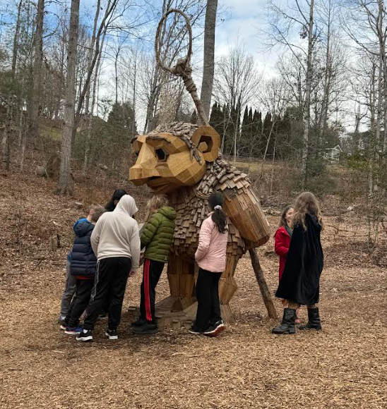 BCSVA NC Arboretum Field Trip