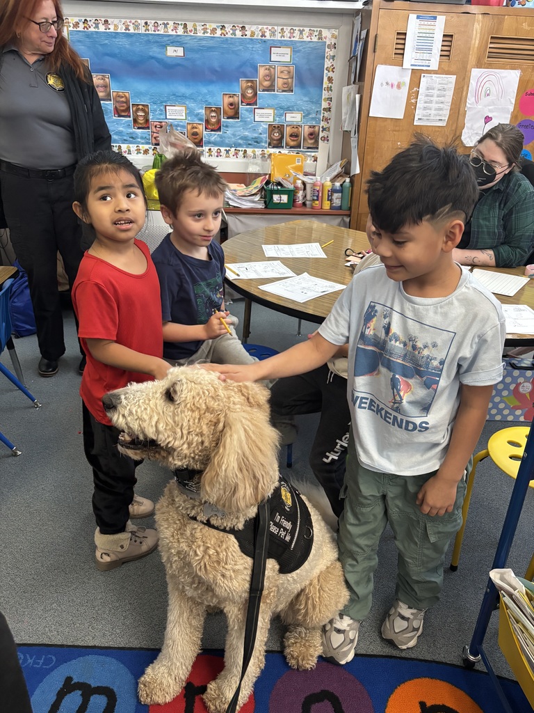 Student pets service dog.