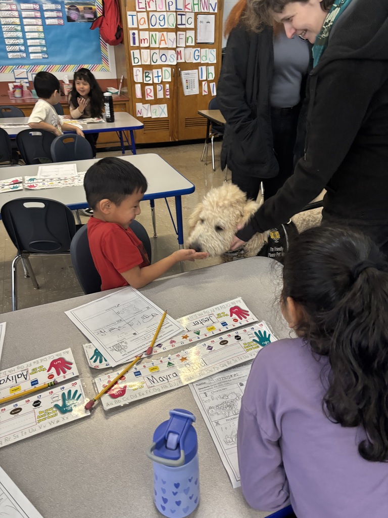 Student pets service dog.