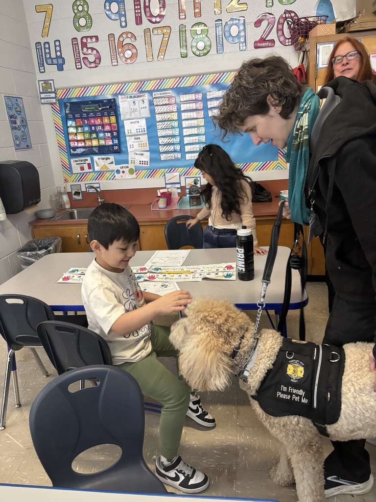 Student pets service dog.