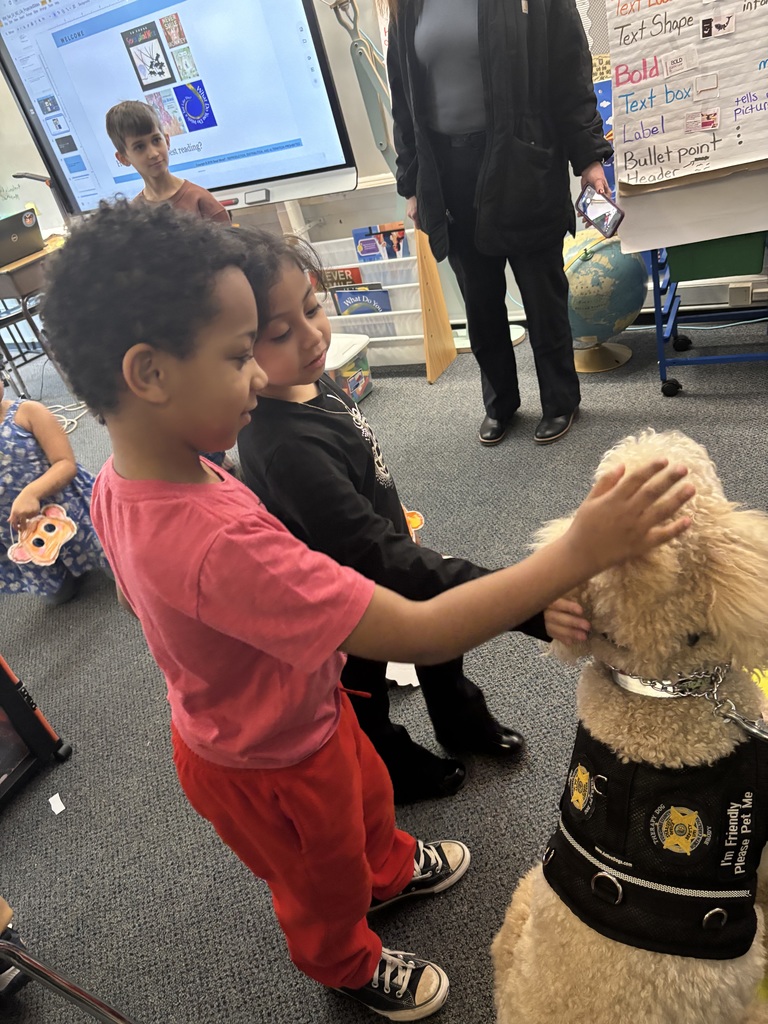 Student pets service dog.