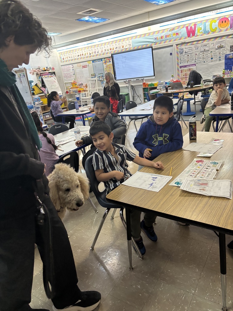 Student pets service dog.