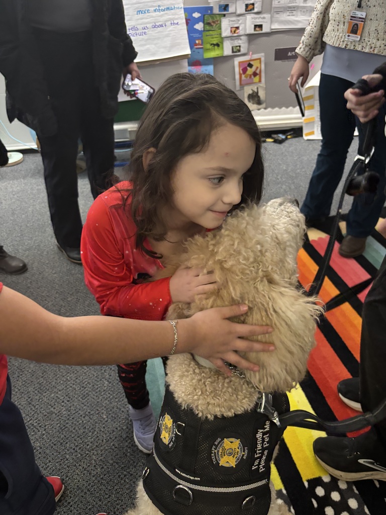 Student pets service dog.