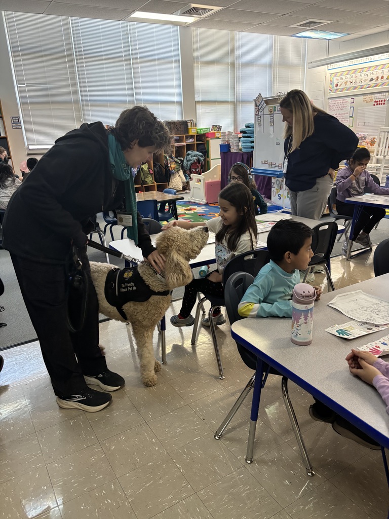 Student pets service dog.