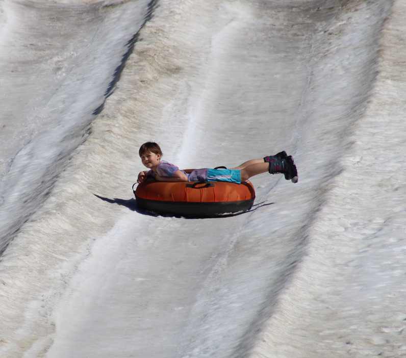 Zip N Slip Field Trip