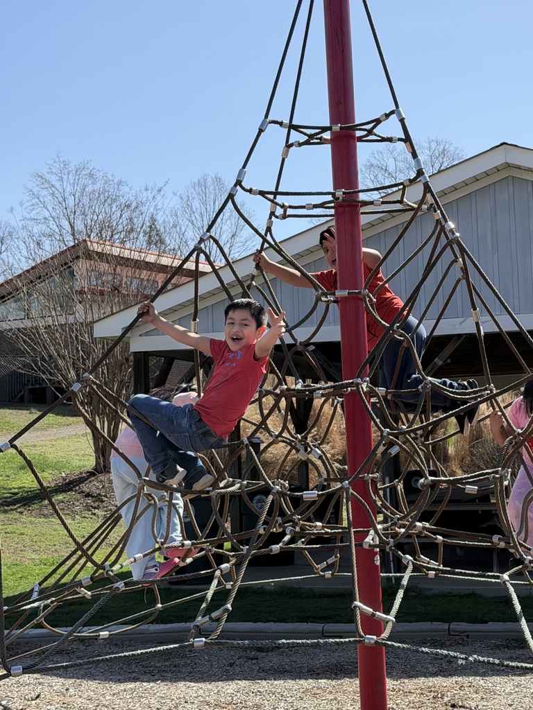 Students climb on ropes.