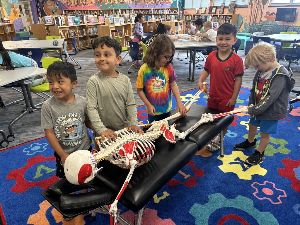 Five students stand around a skeleton on a massage table, examining its bones. 