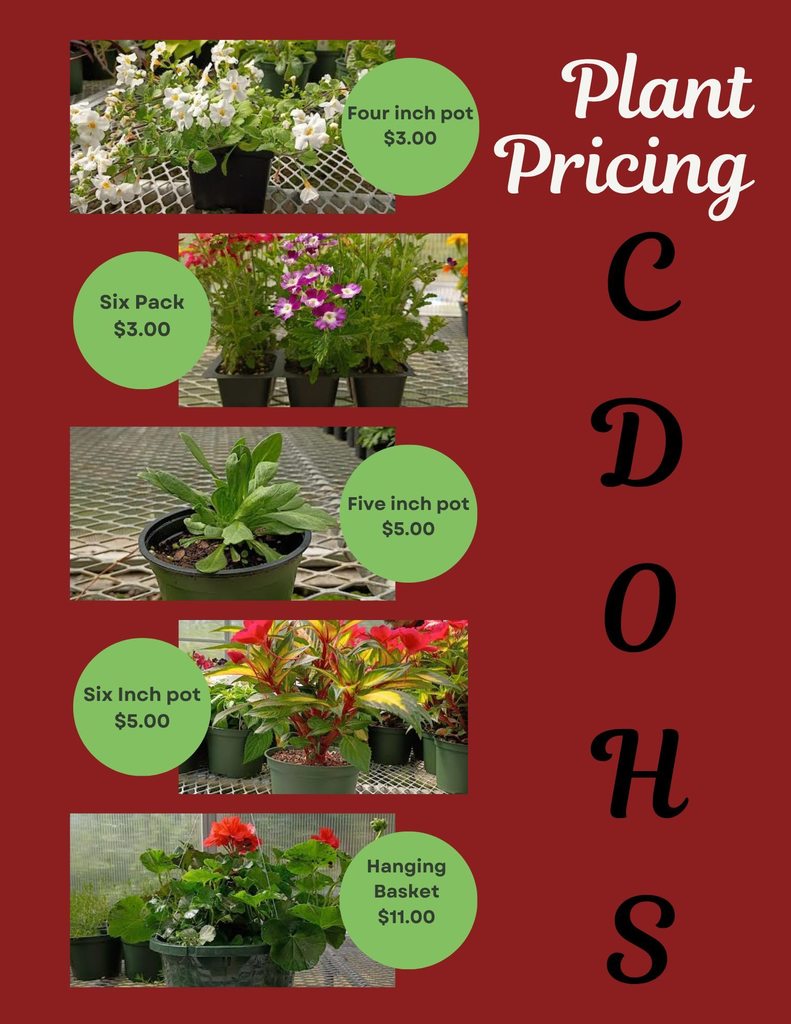 pics of plants and pricing details
