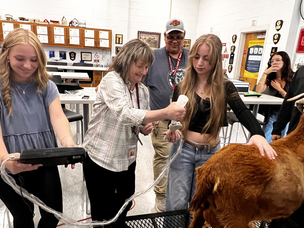 Health science students use new ultrasound equipment to scan pregnant goat in OHS animal science classroom