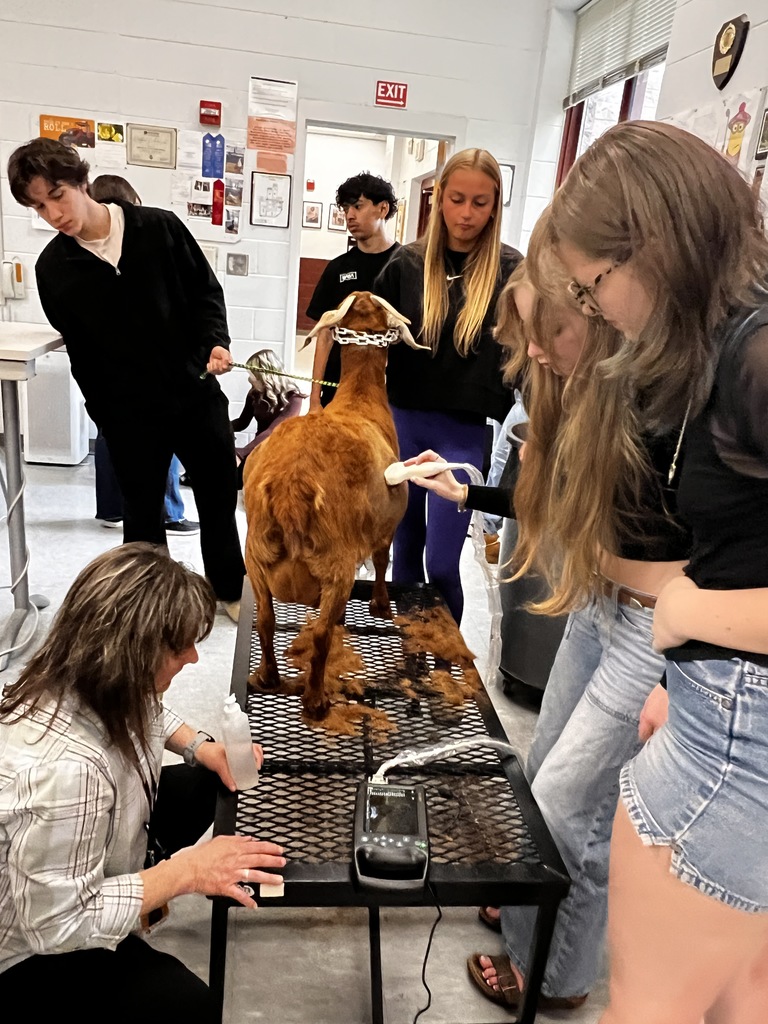 Health science students use new ultrasound equipment to scan pregnant goat in OHS animal science classroom