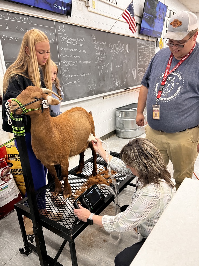 Health science students use new ultrasound equipment to scan pregnant goat in OHS animal science classroom