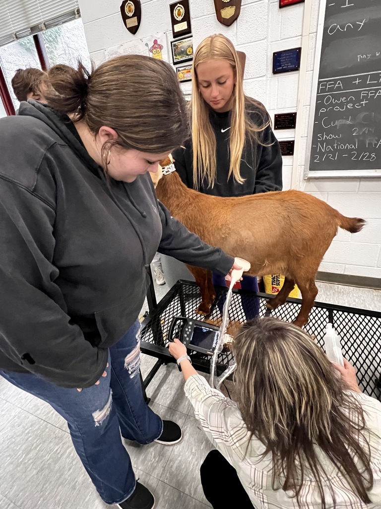 Health science students use new ultrasound equipment to scan pregnant goat in OHS animal science classroom