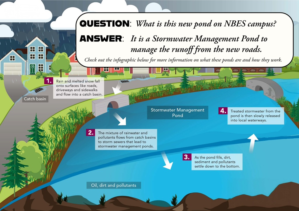 Stormwater Graphic created by Rachael Bronson