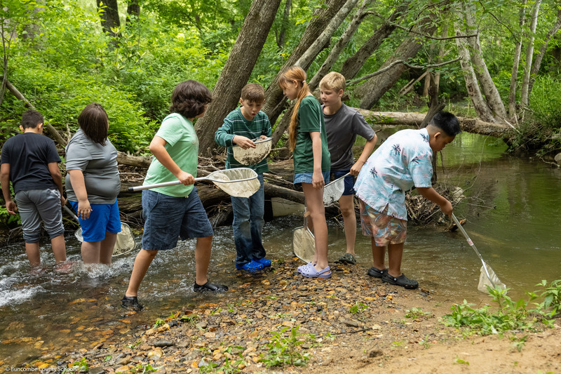 Students look at their nets while standing in the creek.