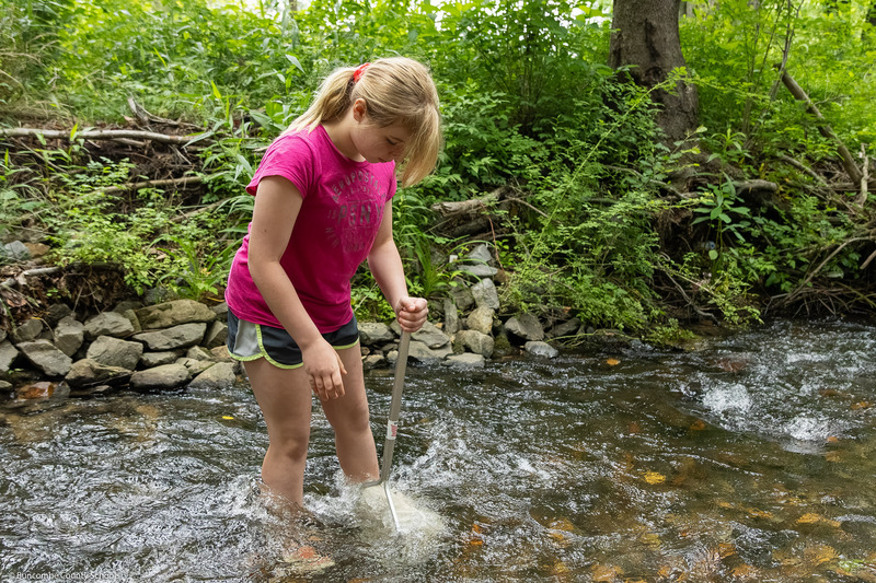 A girl shuffles her feet in the creek to get sediment into her net.