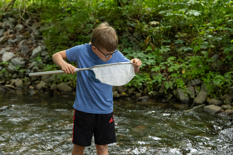 A boy looks in his net while standing on the bank.