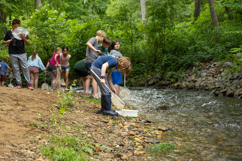 A boy looks in his net while standing on the bank.