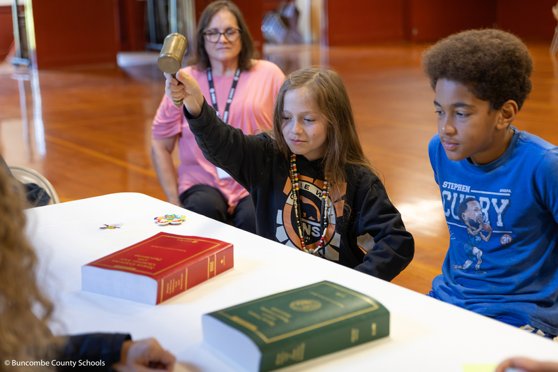 Girl hitting a gavel down on a textbook.