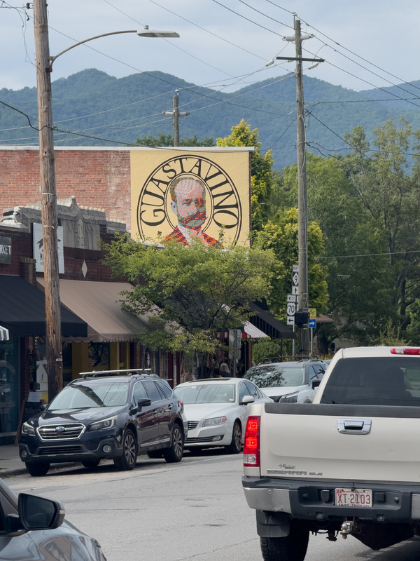 The art mural on the side of a building in Black Mountain.