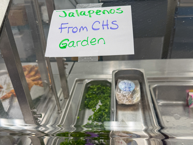 Sign above the peppers in the lunch line that reads "jalapenos from the CHS garden"