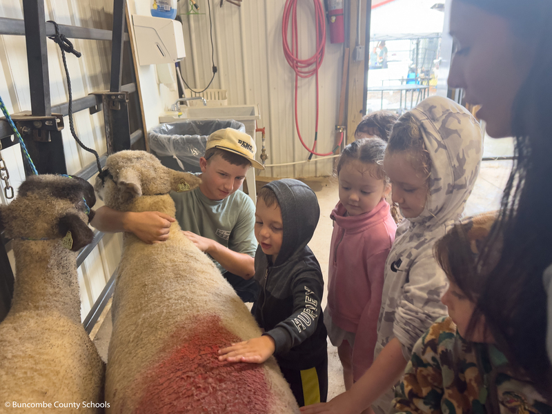 PreK students petting a sheep.