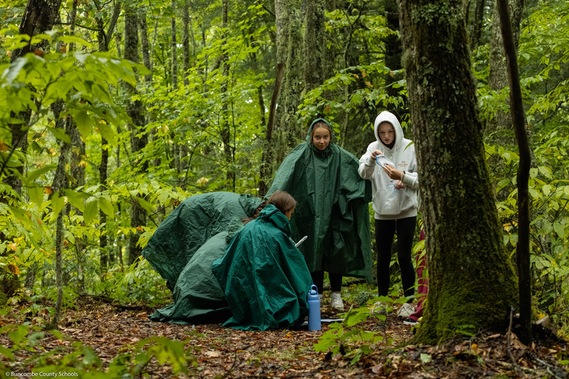 Five students look for salamanders in the forest.