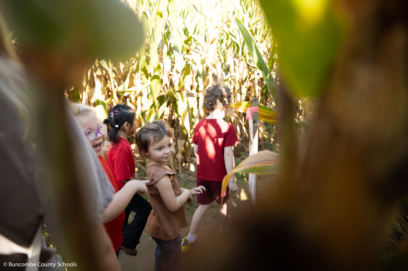Students in the corn maze.