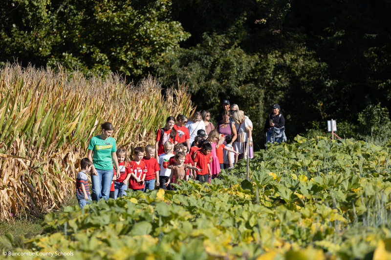 Students walking through the pumpkin patch