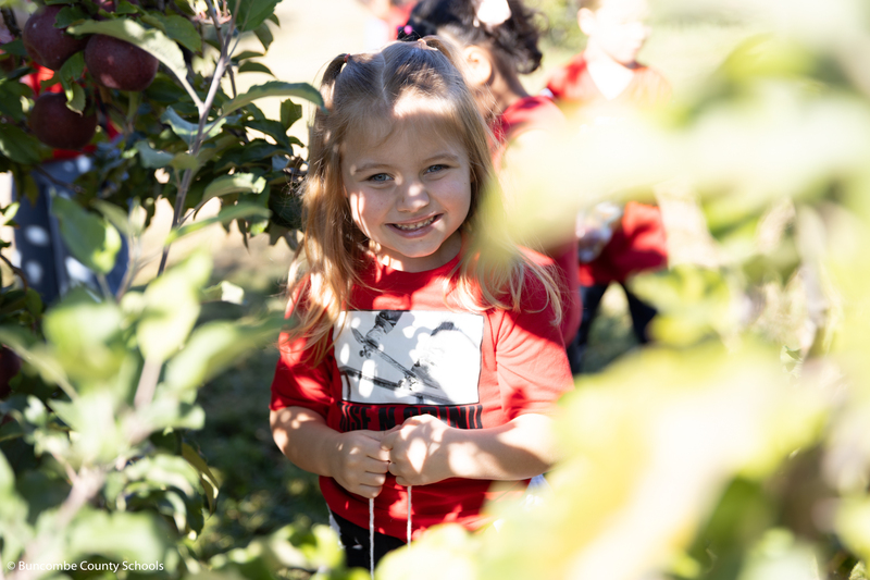 Student picking apples.